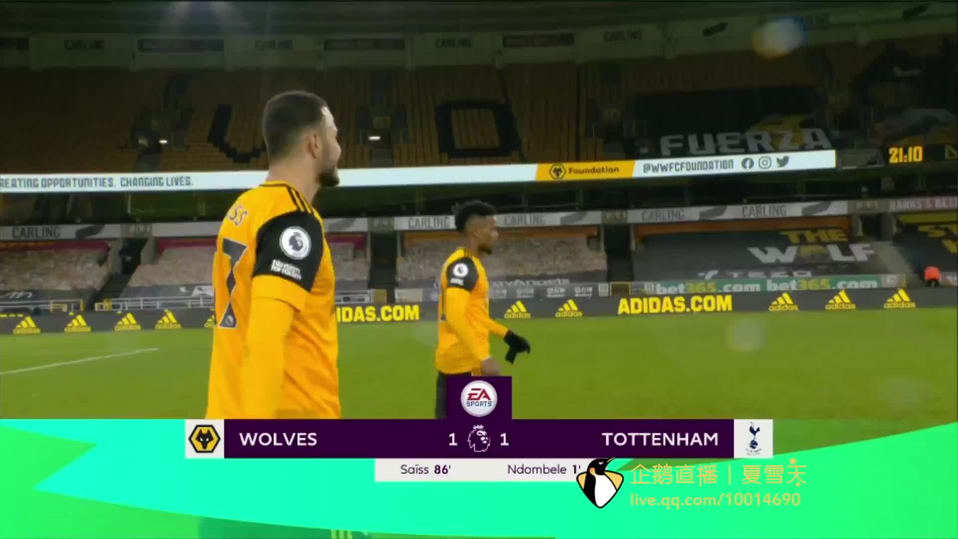 的阵容中 的阵容中